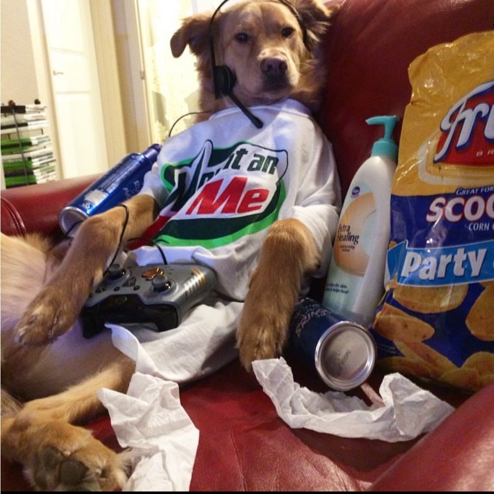 This is amazing things from DeeOgee ( D O G) customized to you . - Picture 9 of 11